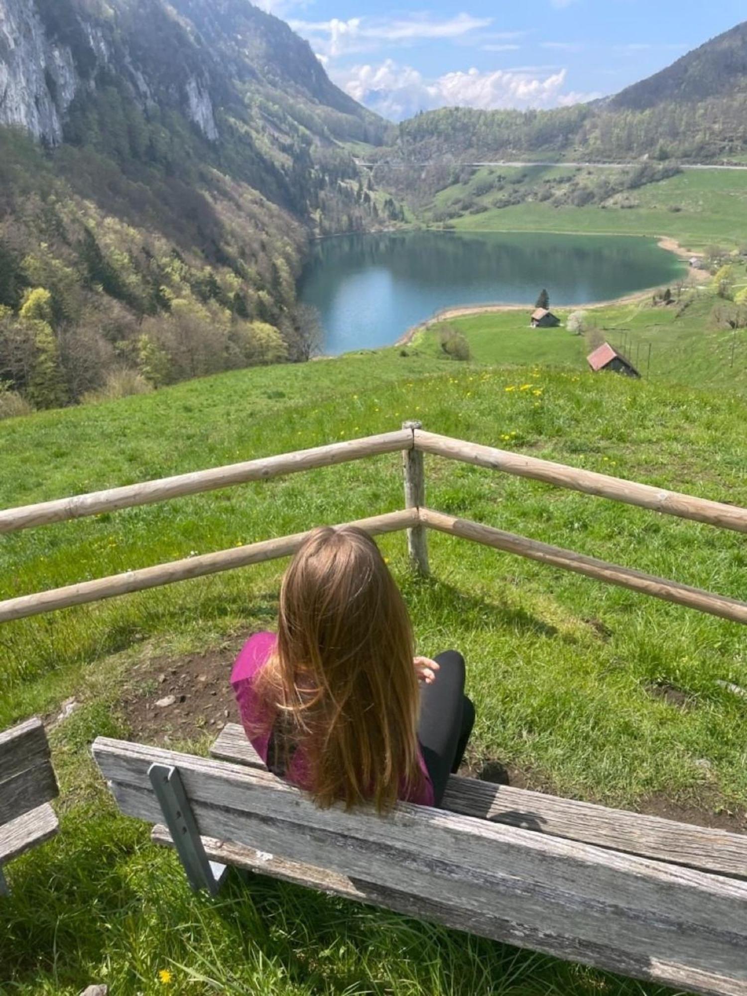 Lakehill72 Seelisberg Εξωτερικό φωτογραφία
